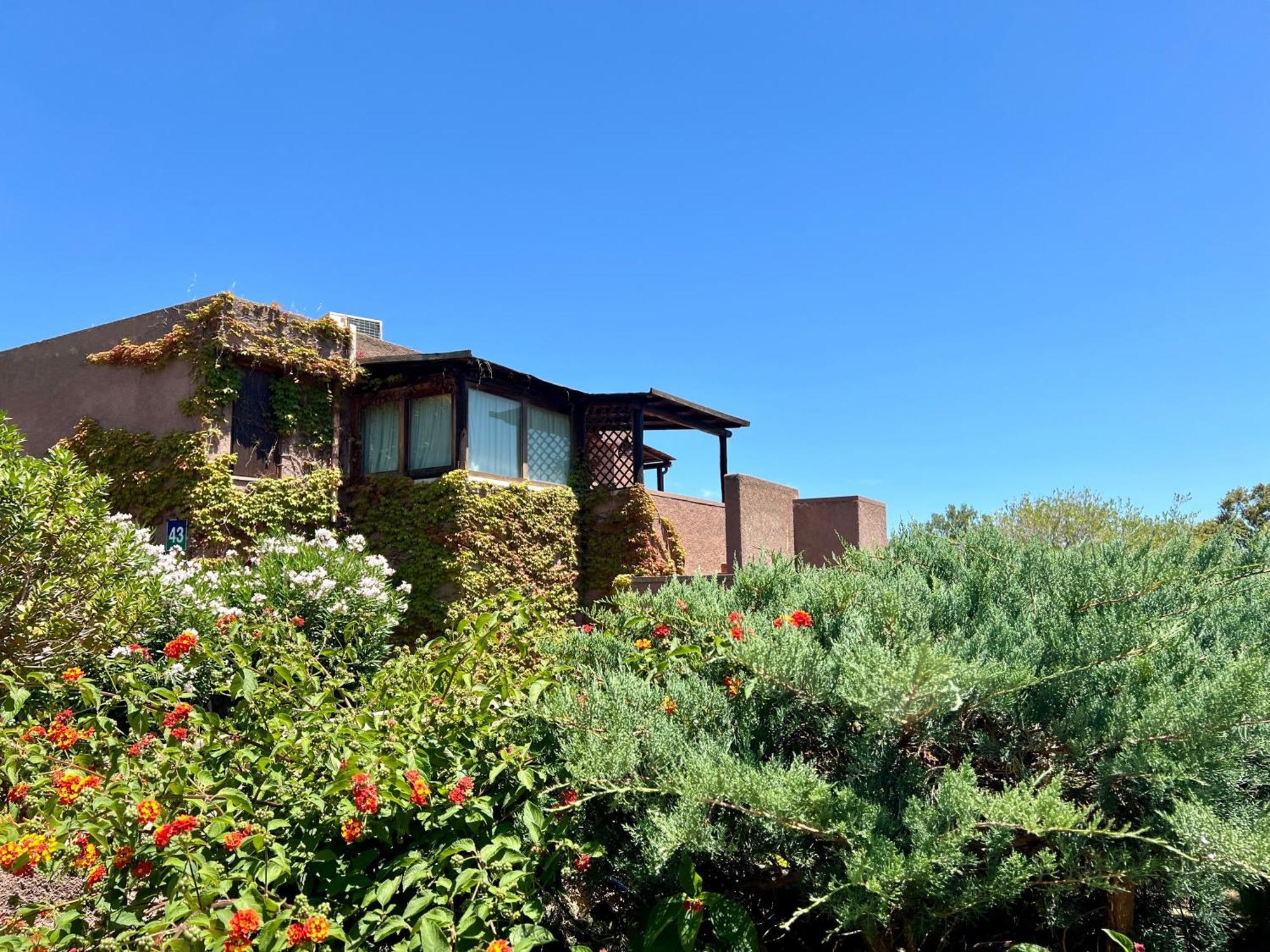 Valentina Home Costa Smeralda Vista Mar Cugnana Verde Eksteriør bilde